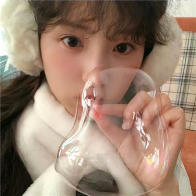 梅花档案 海报