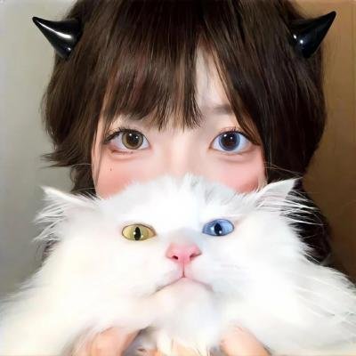 白日美人 海报